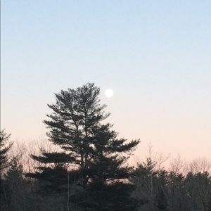 Meet your Posher, Brandi